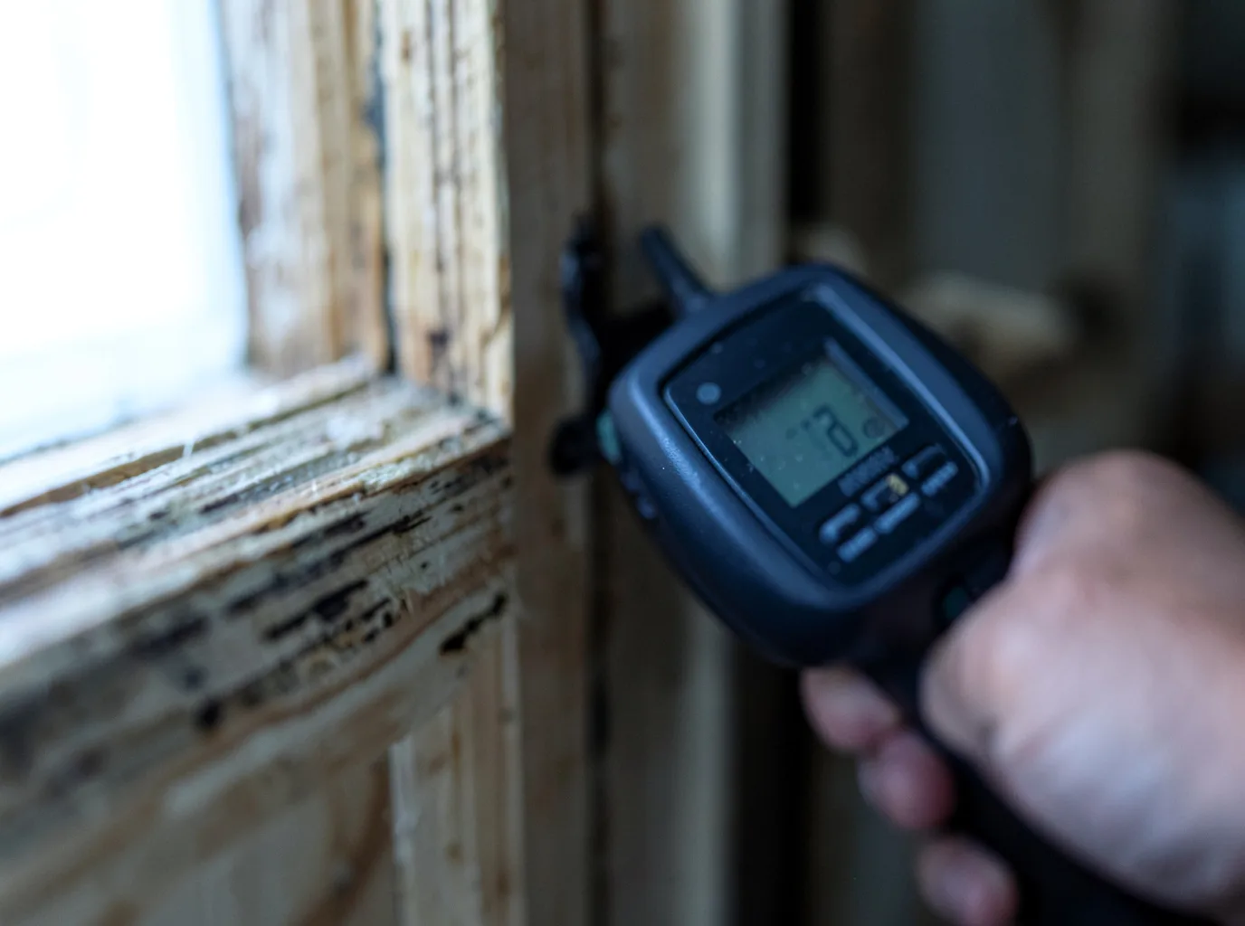 Commercial Water Damage Restoration in Progreso, TX